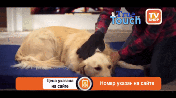Перчатка для вычесывания шерсти домашних животных Тру Тач - True Touch